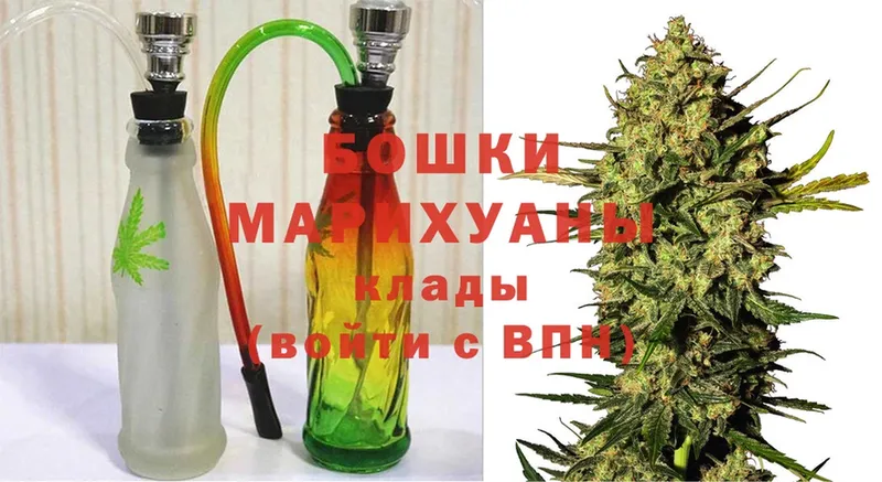 МАРИХУАНА SATIVA & INDICA  Тайга 